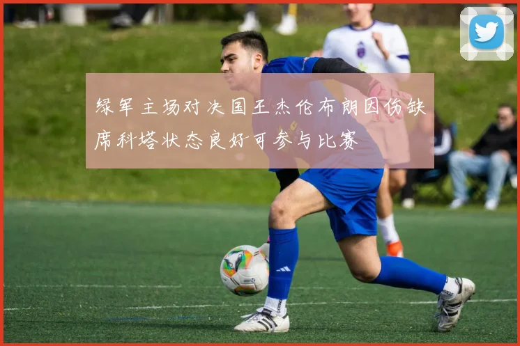 绿军主场对决国王杰伦布朗因伤缺席科塔状态良好可参与比赛