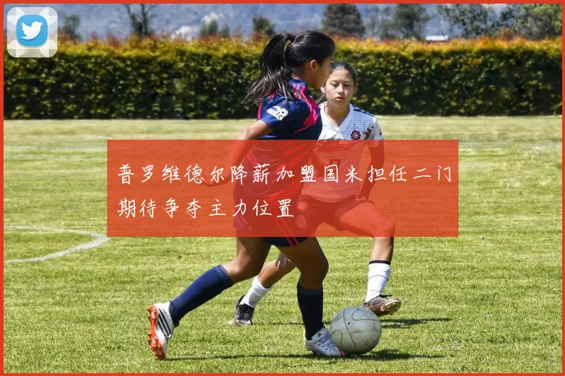 普罗维德尔降薪加盟国米担任二门期待争夺主力位置