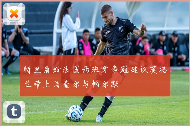 特里看好法国西班牙争冠建议英格兰带上马奎尔与帕尔默