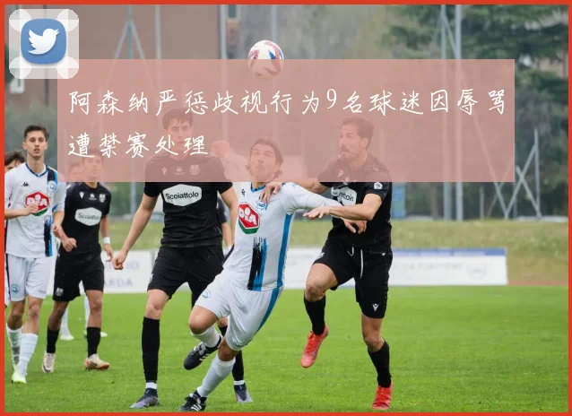 阿森纳严惩歧视行为9名球迷因辱骂遭禁赛处理