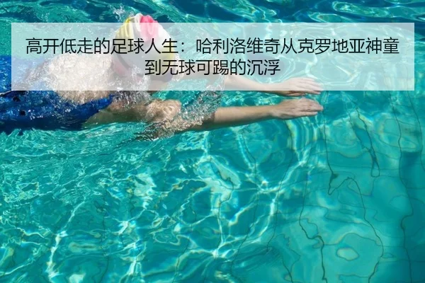 高开低走的足球人生：哈利洛维奇从克罗地亚神童到无球可踢的沉浮 | AOASPORTS